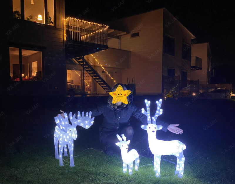Akrilinė LED dekoracija „Älg“ - Image 5