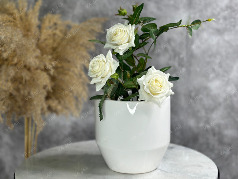 Keraminis vazonas "Halo"