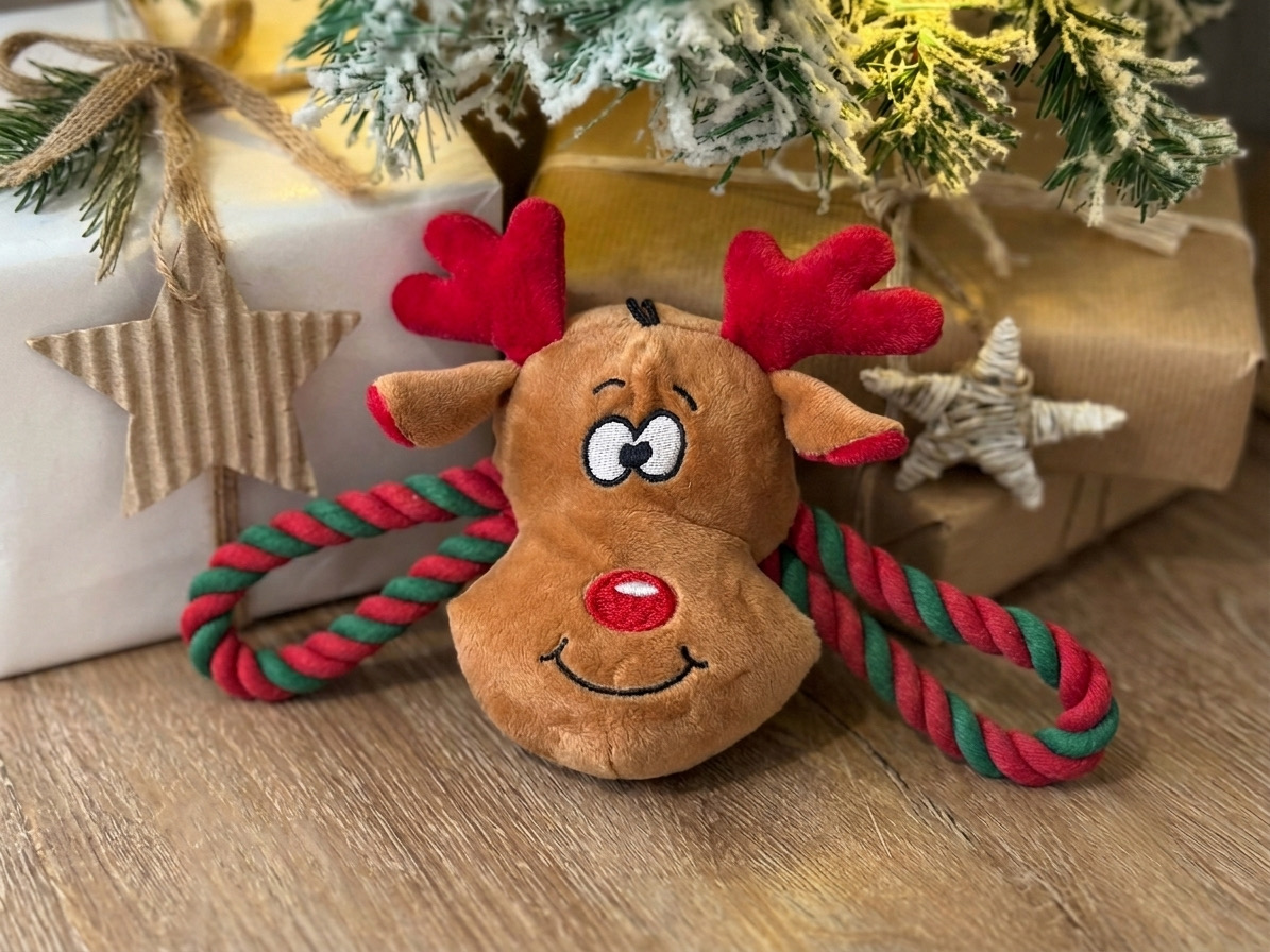 Žaislas šunims „Rudolf Pup“ - Image 2