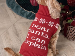Megztinis „Dear Santa I Can Explain“