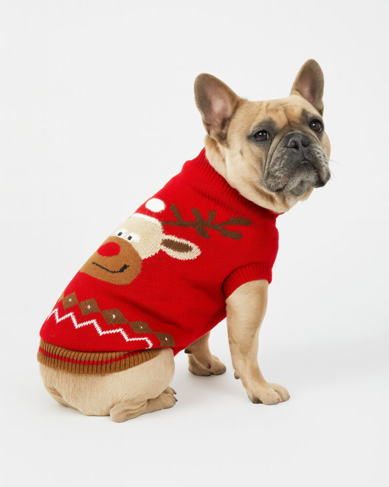 Megztinis augintiniams "Rudolf" - Image 2