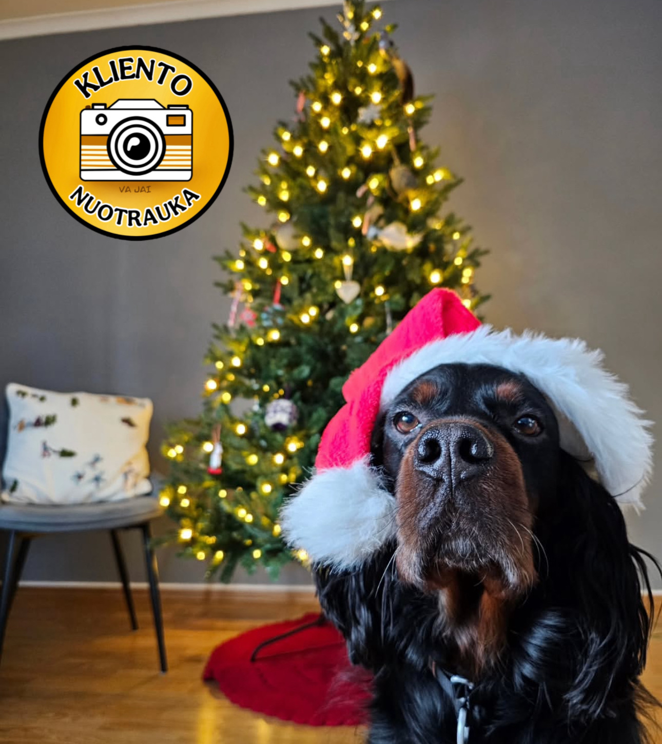 Dirbtinė eglutė su LED apšvietimu „Chamonix“ 250cm - Image 36