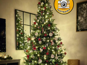 Dirbtinė eglutė su LED apšvietimu „Chamonix“ 210cm