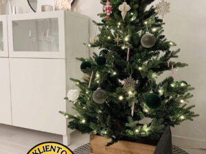 Dirbtinė eglutė su LED apšvietimu „Chamonix“ 150cm