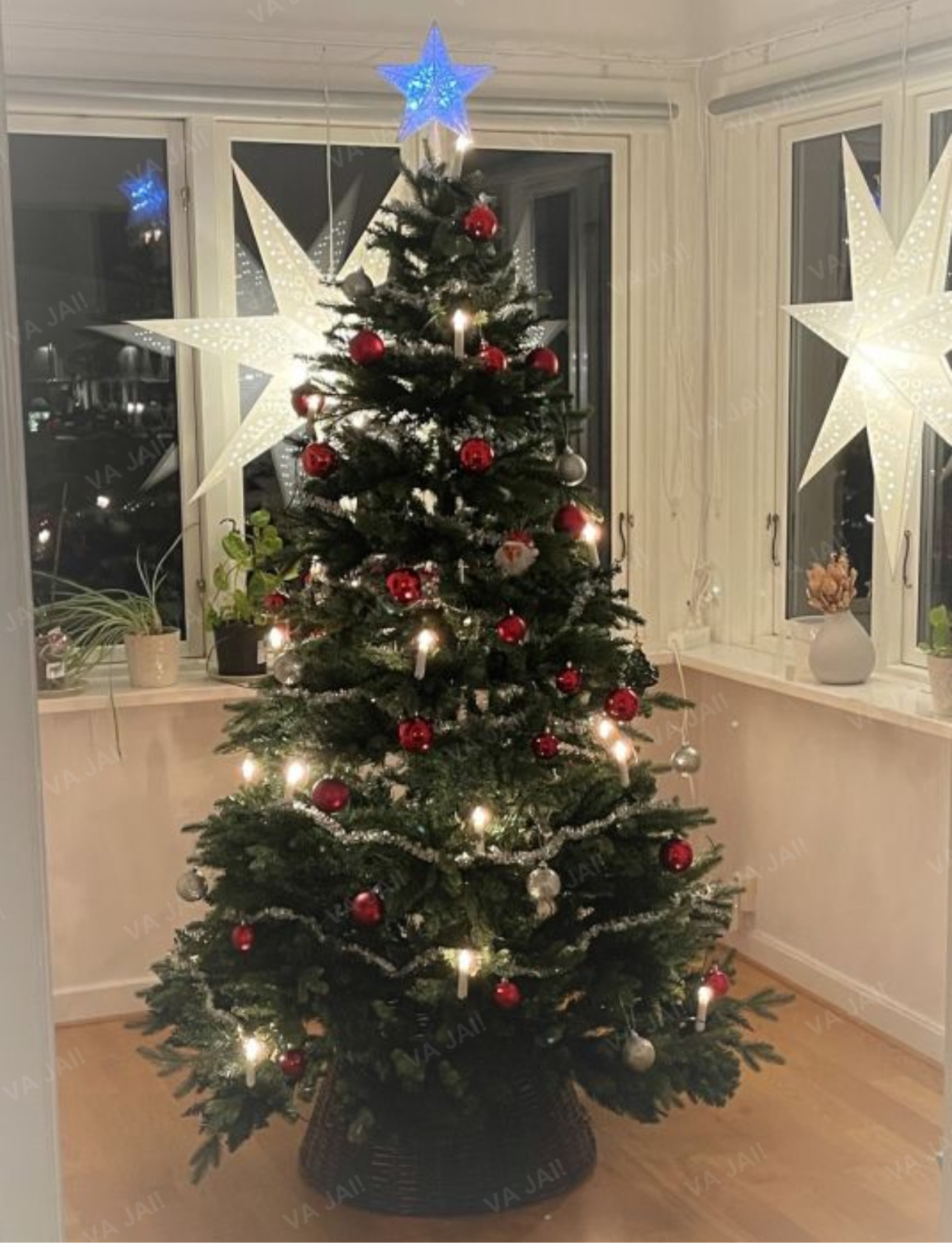 Dirbtinė eglutė "Bergen" 210cm - Image 4