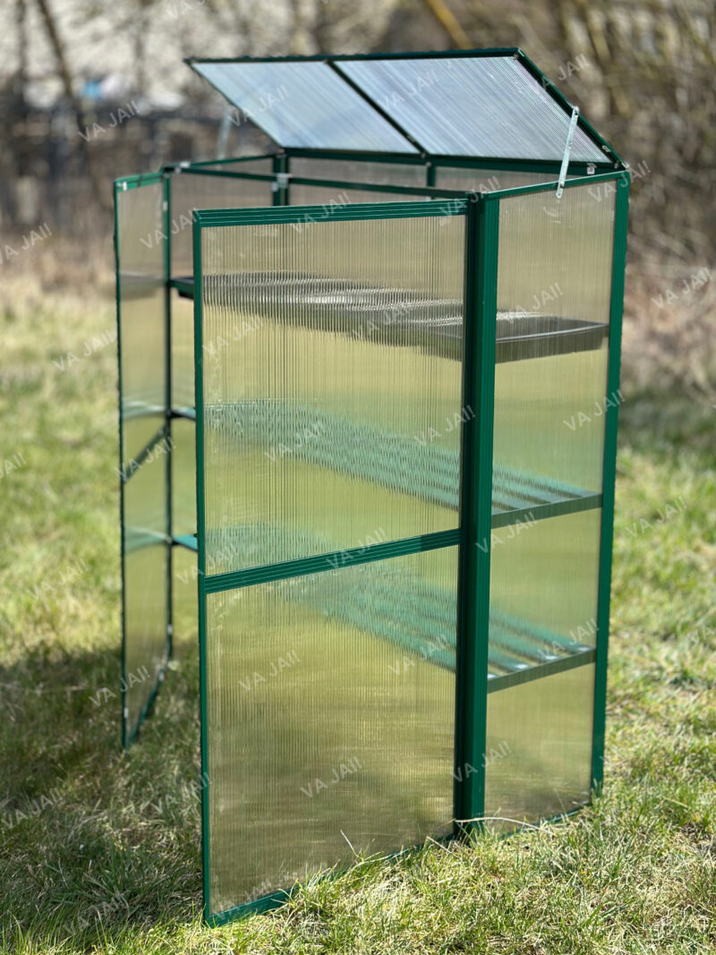 Daigykla "Greenery" - Image 5
