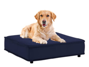 Gultas šunims „Hillsta“