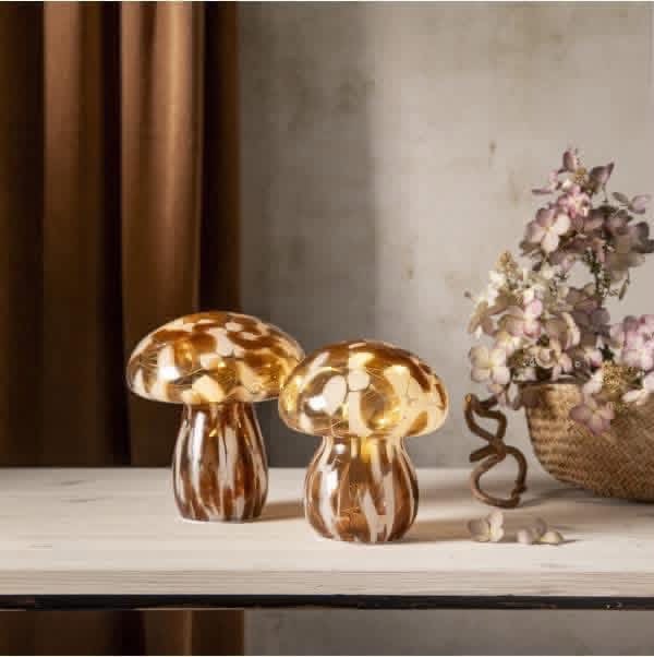 Stiklo dekoracija „Funghi“