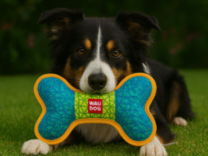 Žaislas šunims „Wau Dog“