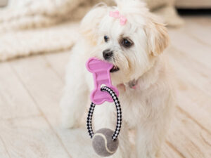 Žaislas šunims „Höppy Pink Bone“