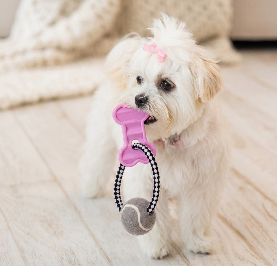 Žaislas šunims „Höppy Pink Bone“