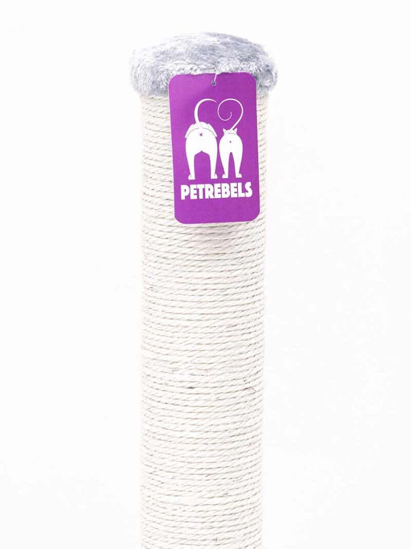 PET REBELS draskyklė katėms „Maine 90“ - Image 9