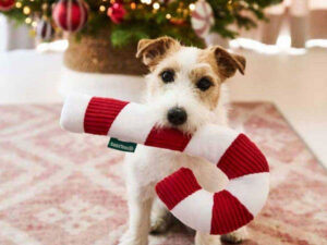 Žaislas šunims „Bezztess Candy Cane“ 50cm