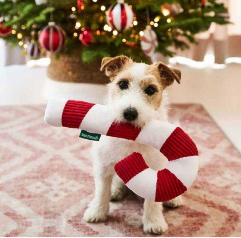 Žaislas šunims „Bezztess Candy Cane“ 50cm