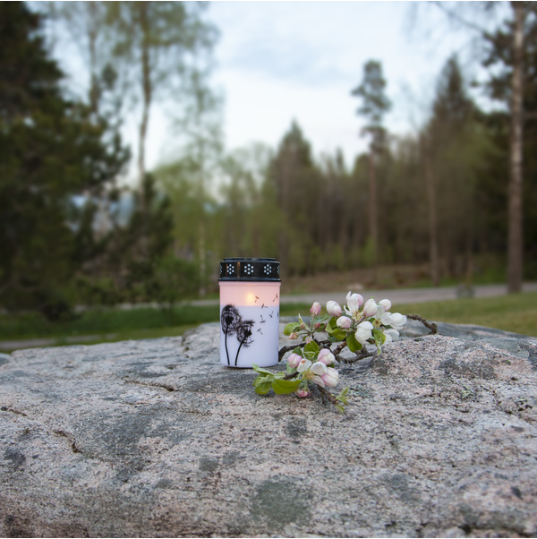 LED žvakė „Dandelion“