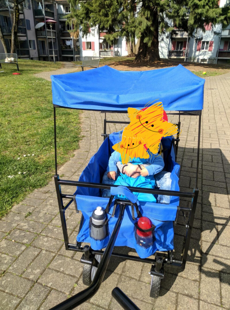 Sulankstomas universalus vežimėlis su stogeliu - Image 4