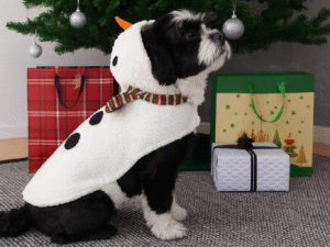 Kostiumas augintiniams „Snowman“