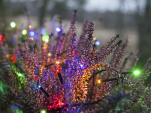 LED girlianda „Serie Microled“