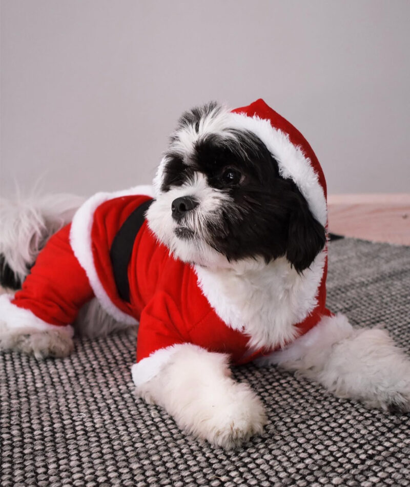 Kombinezonas augintiniams „Santa Claus“