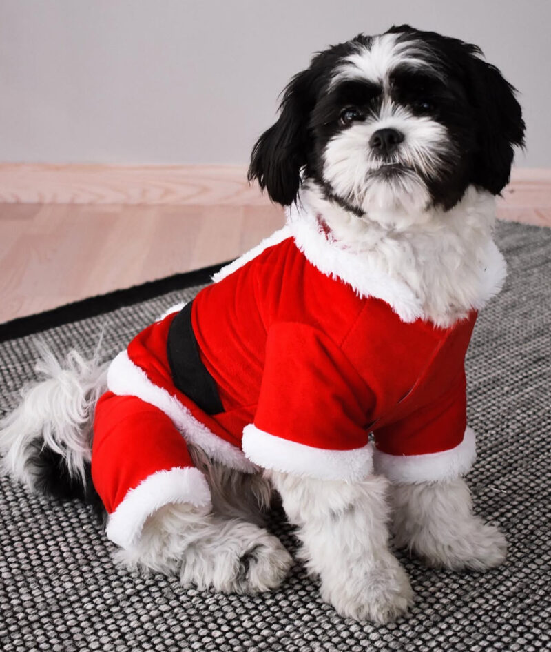 Kombinezonas augintiniams „Santa Claus“ - Image 2
