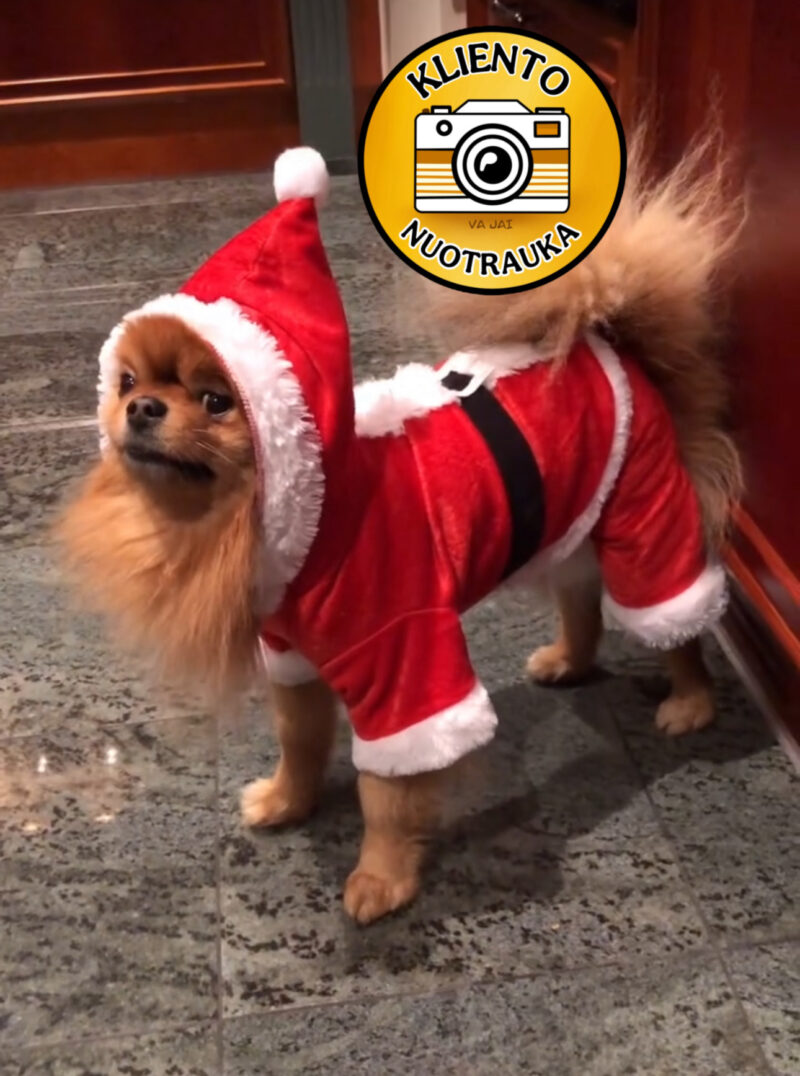 Kombinezonas augintiniams „Santa Claus“ - Image 3