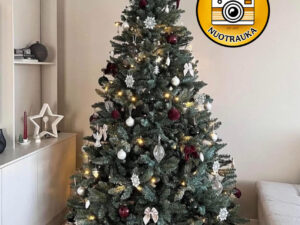 Dirbtinė eglutė „Exlusive“ 210cm