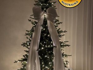 Dirbtinė eglutė su LED apšvietimu „Larvik“ 180cm