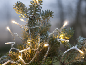 LED girlianda „Serie Microled“