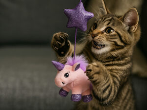 Žaislas katėms „Sparkly Purple Paws“