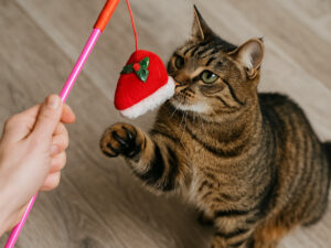 Žaislas katėms „Jingle Hat“