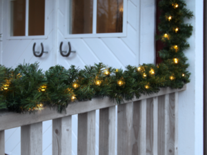 Eglės šakų LED girlianda „Ottawa“