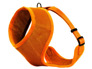 Dogman petnešos šunims „Iris“