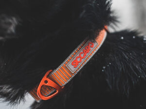 SEALINES SICCARO nailoninis antkaklis šunims