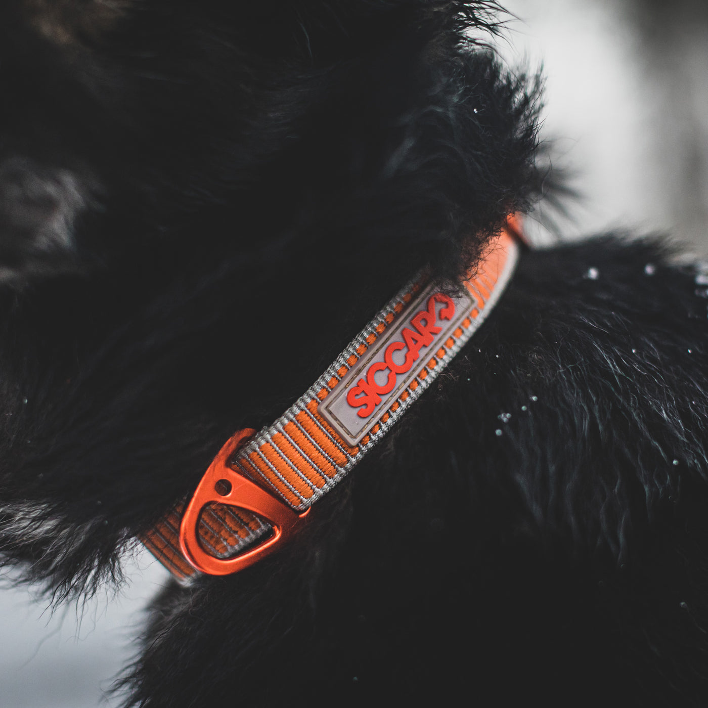 SEALINES SICCARO nailoninis antkaklis šunims