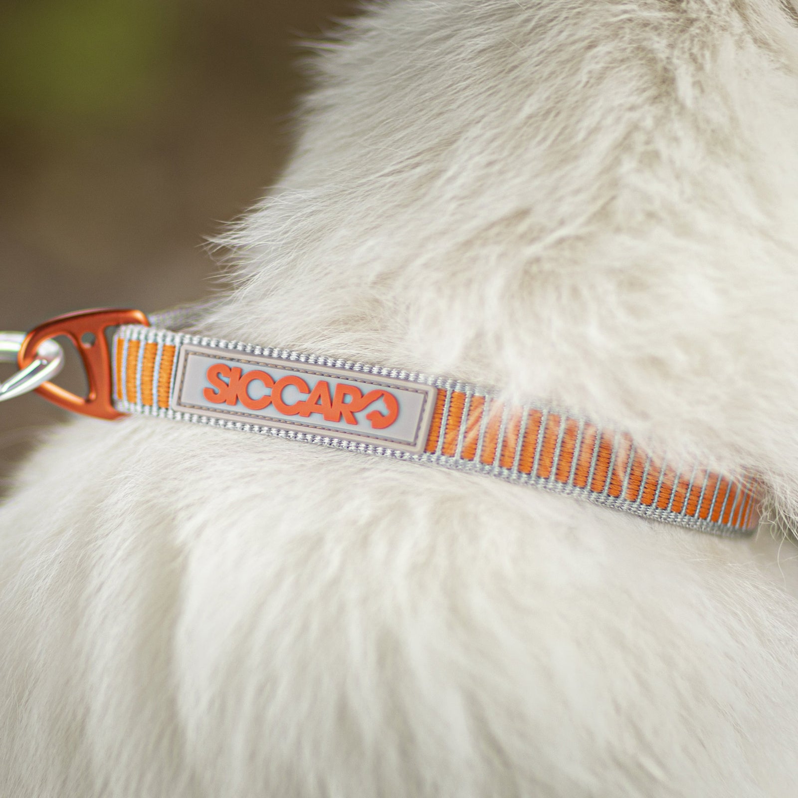 SEALINES SICCARO nailoninis antkaklis šunims - Image 4