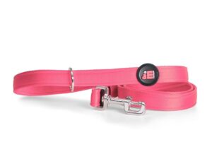 My Family NFC pavadėlis šunims „Memopet“