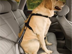 KURGO Automobilio saugos diržas didelių veislių šunims
