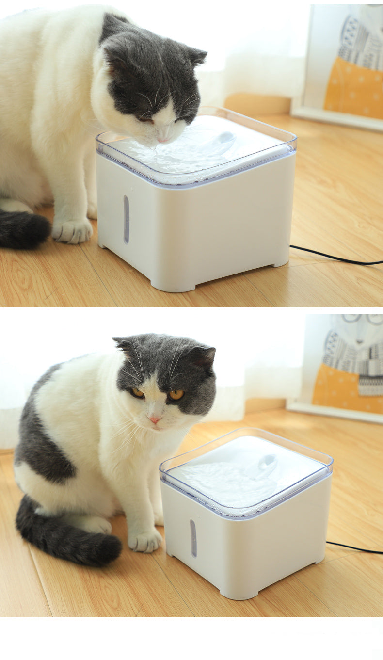 Automatinė girdykla - vandens fontanas augintiniams - Image 3