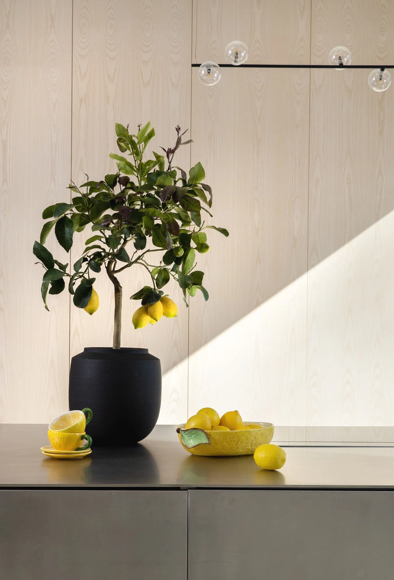 Byon rankų sarbo terakotos vazonas „Dylan“