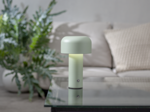 Pakraunama stalinė lempa „Bobby“