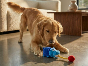 Žaislas šunims „Hungry Hungry Hippos“