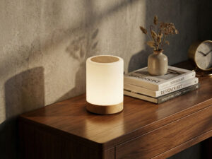 Dekoratyvinis šviestuvas „Deluxa Home“