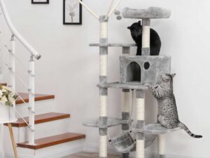 Draskyklė katėms „Feandrea“