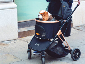 2in1 vežimėlis augintiniams „LovePet“