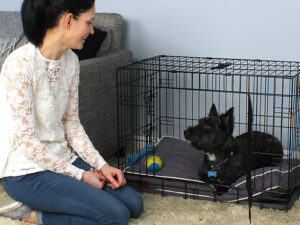 Pritax transportavimo narvas šunims „Fido S“