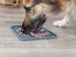 TRIXIE silikoninis laižymo kilimėlis šunims „Lick'n'Snack“