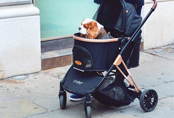 2in1 vežimėlis augintiniams „LovePet“ - Image 2