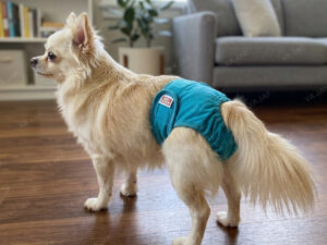 Šunų patelių daugkartinės sauskelnės