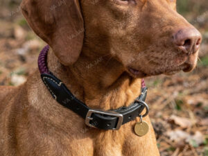 DOGMAN antkaklis šunims „Scott“