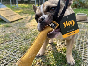 Julius-K9 tug natūralios odos žaislas šunims